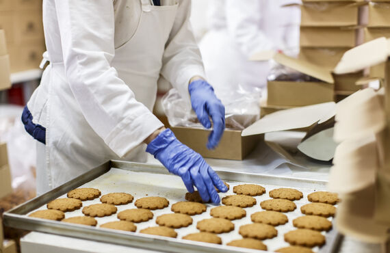 食品を手掛ける製造業をご紹介します | 焼津市で人材派遣なら出会いを大切にするエルハ株式会社
